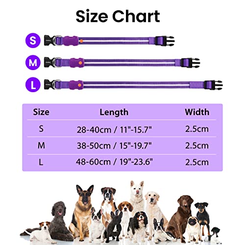 MASBRILL Hundehalsband Leuchtend Aufladbar, Hund 7 RGB Farbwechsel mit 8 Leuchtmodi, Verstellbare LED HundeHalsband Wasserdicht für Kleine Mittlere Große Hunde Leuchtendes Halsband, Lila S