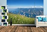 Premium Foto-Tapete Gardasee Blick Monte Baldo (versch. Größen) (Size L | 372 x 248 cm) Design-Tapete, Wand-Tapete, Wand-Dekoration, Photo-Tapete, Markenqualität von ERFURT