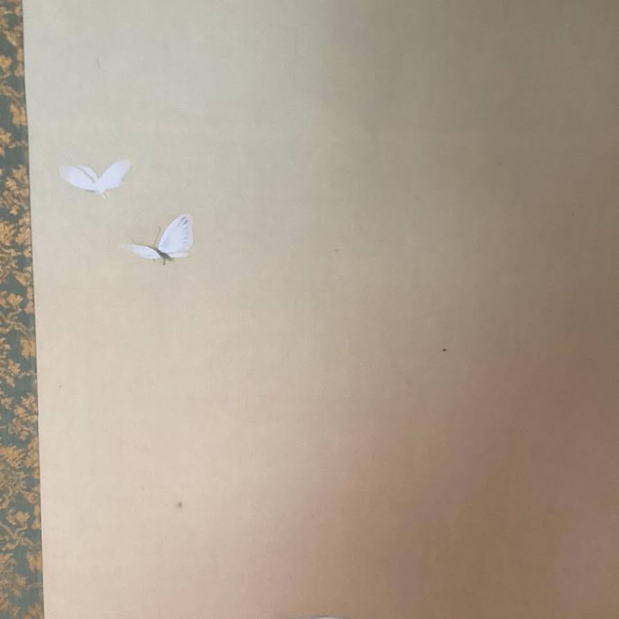 菱田春草　絹本着色　牡丹之図　講談社製複製画　掛軸一幅　保存箱他　未使用品197 Amazon.co.jp: 菱田春草 絹本着色 牡丹之図 講談社製複製画 掛軸