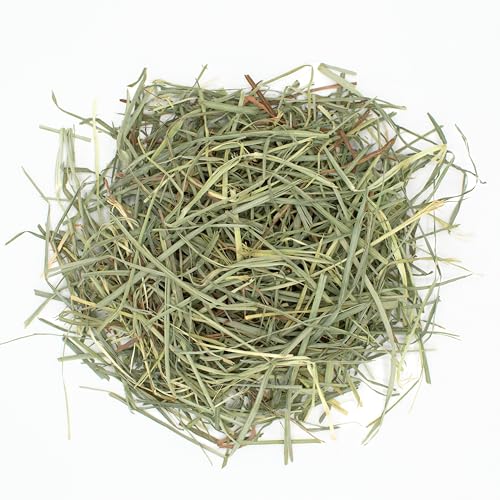 Oxbow Animal Health Orchard Grass Hay, 25-Pound