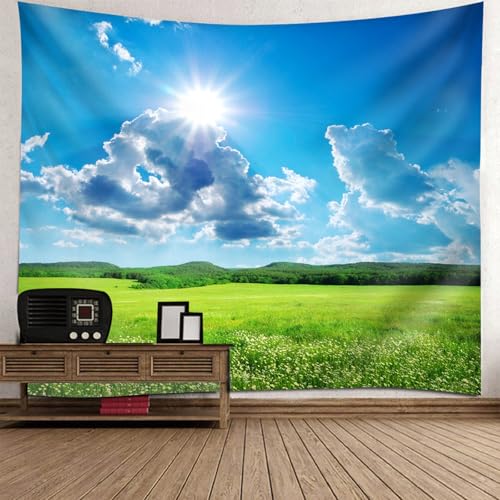 Tapisserie grand format ciel bleu prairie RDSGYZ 140x210CM tenture aux couleurs lumineuses