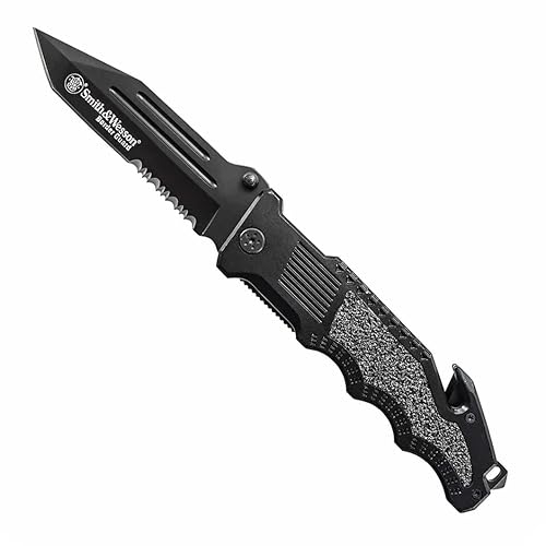 Smith & Wesson Border Guard SWBG6TS 10.1in S.S. Folding Knife