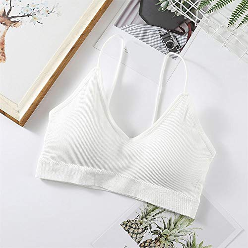 Mulampli top de tubo feminino cor sólida antirreflexo, sutiã respirável sem costura enchido com tira