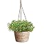 Pot De Fleurs Suspendu En Jute Et Jonc De Mer - 50 X 20 X 13 Cm, Couleur Verte - Pour Intérieur Ou Extérieur, Pliable - 11