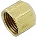 Anderson Metals 754040-06 Lead Free Flare Cap, Brass, 3/8"