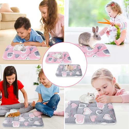 Gukasxi 2 Stück Plüschbett für Kleine Tiere, Kleintierbett Kleintier Plüschbett Winter Warm Flauschige Bettmatte für Meerschweinchen, Hamster, Kätzchen