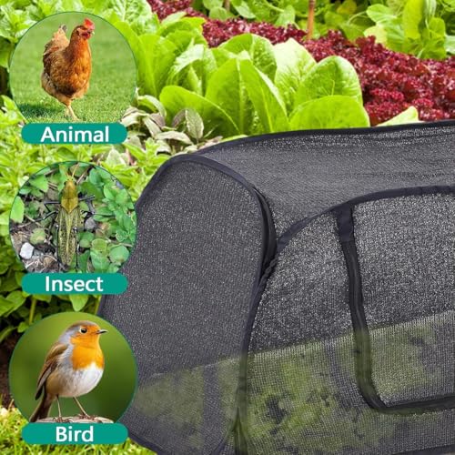 Camas elevadas para jardín que salvan plantas del viento con paneles de PVC 6