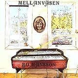  Mellanväsen