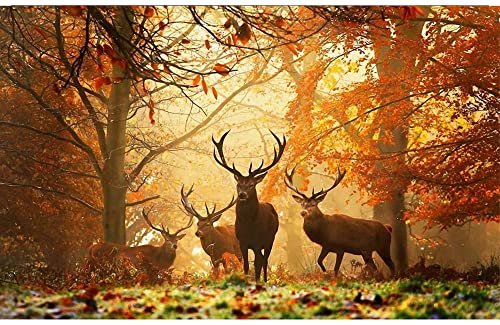 MOBICUS Diamond Painting,Dicrocerus Painting Room Decor 5D Diamond Art Kits for Kids,Abstract Landscape Paint Wall Decor for Wonman Man -12X18inch