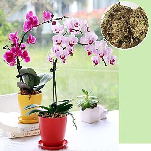 YJBE 12L Mos Voor Tuinbenodigdheden Sphagnum Mos Hydraterende Voeding Organische Meststof Phalaenopsis Orchidee… - Image 7