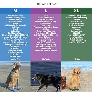 Pawz Dog Boots Pawz Protective Dog Boots to 5 Inch X-Large Green - 12 Count