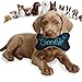 Personalisiertes Hundespielzeug Knochen – bestickter Canvas Hundeknochen mit Name – wählbar mit Quietscher oder Rassel – 20 Farben – Größen XS bis XXL