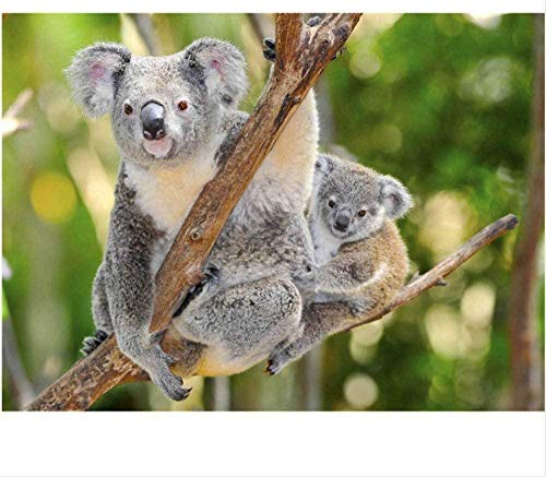 ZYYSYZSH Puzzle Adulte 500 Pièces Jeux Parents-Enfants Puzzles en Bois DIY Puzzle Jeux Éducatifs Jouet Puzzles Cadeau Unique,Koala Cover