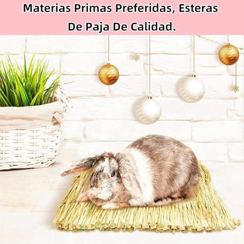 Opiniones de Alfombrillas de tejer los mejores 10. 22 Imagen adicional