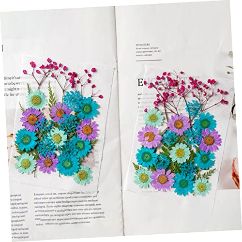 Cabilock 50 Pçs Pacote De Material De Flores Secas Flores Secas Para Nail Art Suprimentos De Unhas A