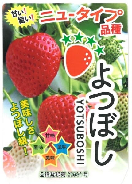 【いちご】 まとめ買い商品 6枚目.png