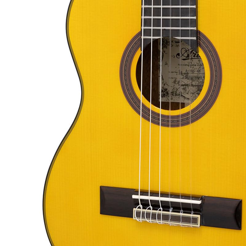 Amazon | ARIA A-20S-48 アリア ミニ クラシックギター ナイロン弦