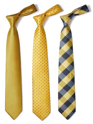 Image of HISDERN Mens Ties and Pocket Square Set Business Elegant Ties for Men Classic Lot 3 Pcs Wedding Party Neckties & Handkerchief