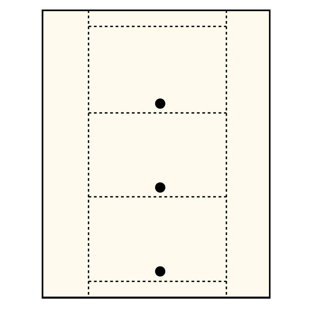 The Library Store Laser Printer Catalog Cards 3-Up Medium Weight 100 per Package