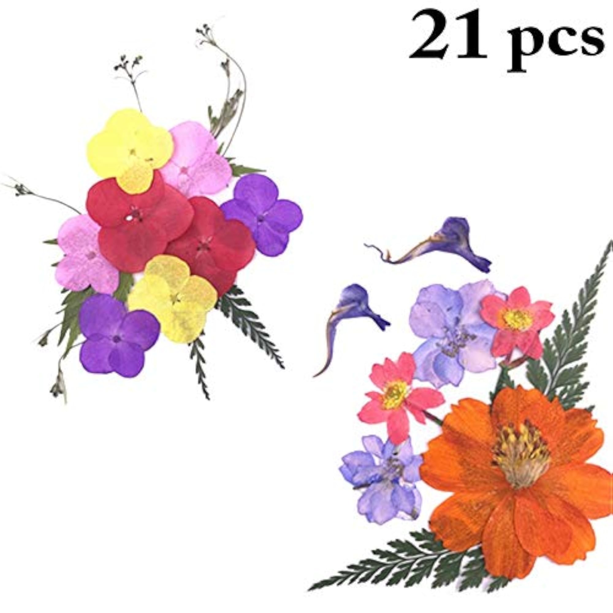 Dried Craft Flowers Multipurpose DIY Pressed Flowers Dry Flower Kit