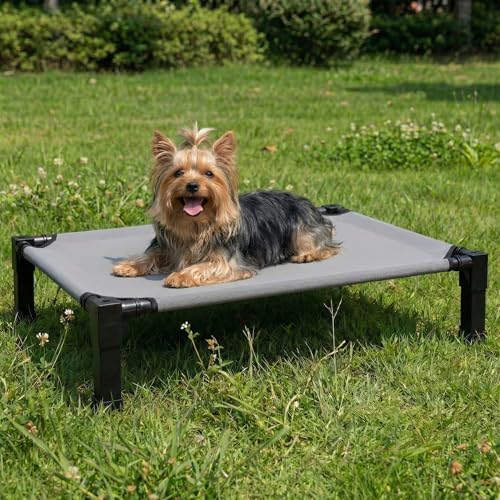 Niubya Elevated Dog Bed for Small Dogs, Cooling Mesh Cot, Ch