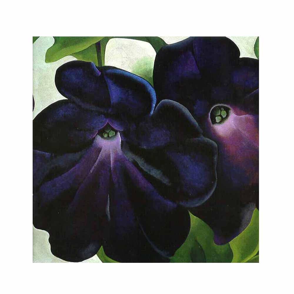 ジョージア・オキーフ 「PURPLE PETUNIAS」紫のペチュニア｜美術品 