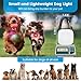 PUPKOLI Dog Collar Light, 2 Pack Rechargeable Dog Light Clip On, 80LM Brightness 4 Color Modes Dogs Lights for Night Walking, Waterproof Pet Camping Essentials for Running, Cycling, Hiking (Black)