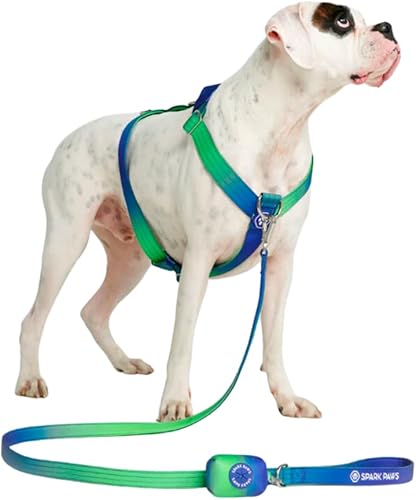 Spark Paws Arnés para perro sin tirones - Diseñado para la seguridad y el control - Lime Wave - L