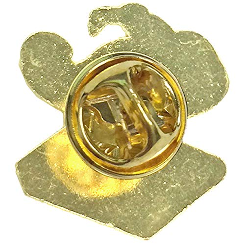 Image of SHOP AWARDS AND GIFTS Gold Chenille Lapel Pins for Student Recognition in Academics and Sports, Lamp of Learning, 3 /4 Inch, Pack of 20