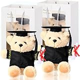 4 Pcs Bear with Graduation Cap Toys 10 Inch Graduation Bears Class of 2023 Graduation Stuffed Animal