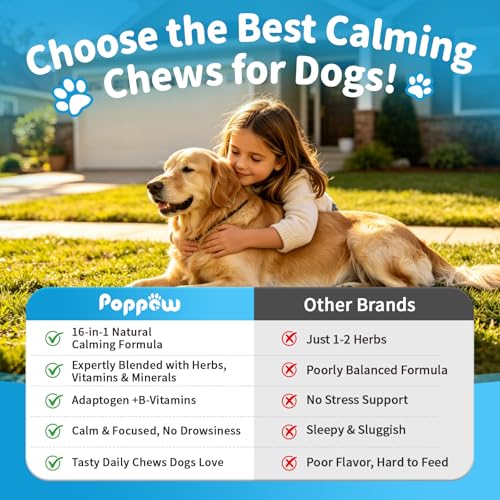 Image of Calming Chews for Dogs - Advanced Calming Treats for Dogs Anxiety, Stress, Separation, & Thunder, Relaxation with Ashwagandha & L-Theanine, Non-Drowsy Alternative to Melatonin, Chicken Flavor, 90Ct