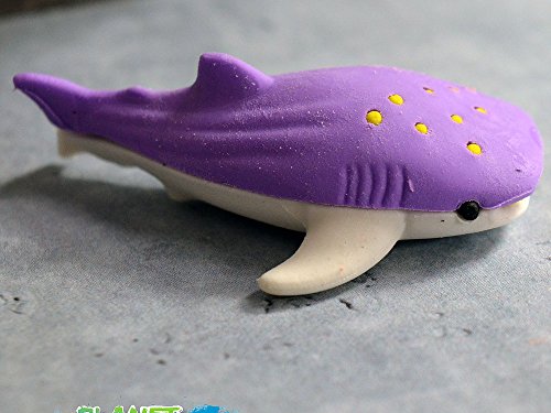 Gommapiuma di squalo balena, mare animale, marino