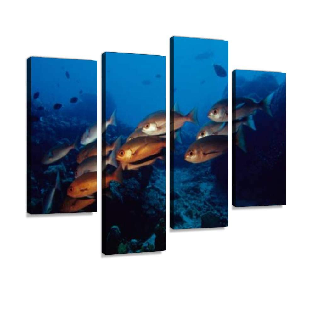 Red Snappers Canvas Print Artwork Wall Art Pictures Framed Digital Print Abstract Painting Room Home Office Decor Ready to Hang 4 Panel