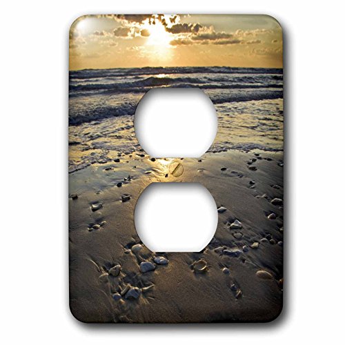Coque 2 plug outlet Larry Ditto coquillages de plage Padre Island Texas US44