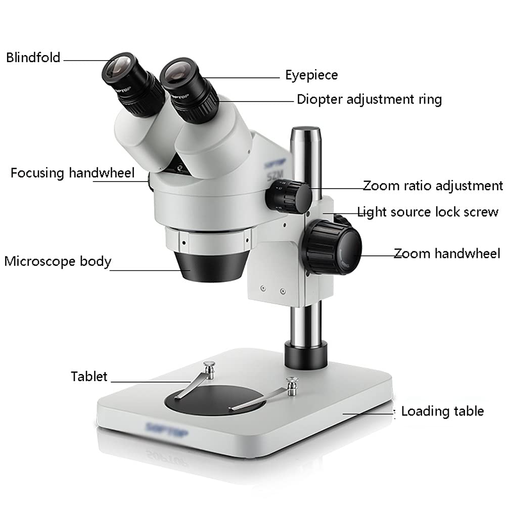 Konus Microscope Slides - 10 Präparate Menschlicher Körper