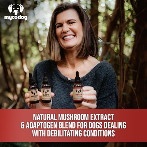 Mushroom Blend For Dogs With Cancer