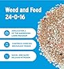 The Andersons Premium Weed and Feed 24-0-16 - Covers up to 5,000 sq ft (18 lb)