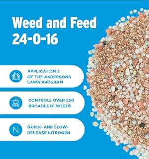 The Andersons Premium Weed and Feed 24-0-16 - Covers up to 5,000 sq ft (18 lb)