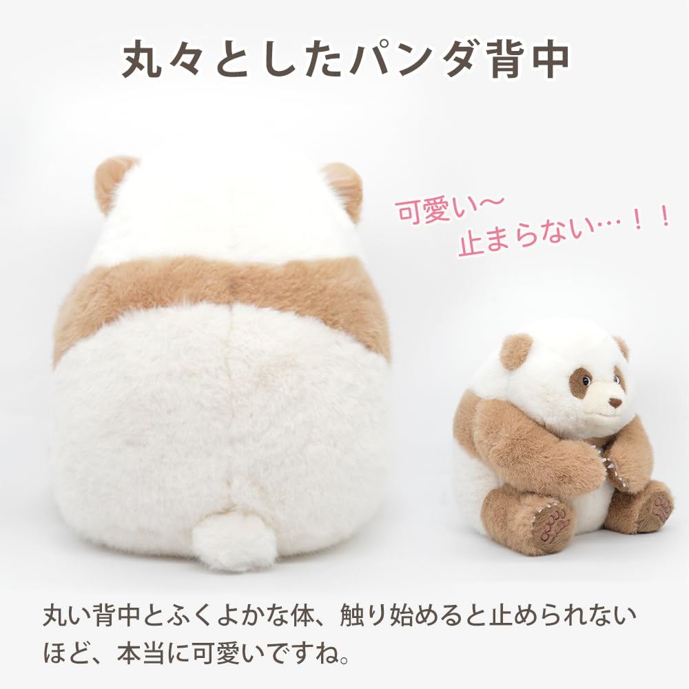 Amazon.co.jp: 世界唯一のチョコレート色パンダ 七仔 チーザイ パンダ