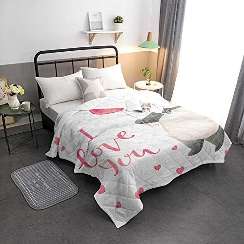 Arts Language Cool Summer Bedspread Quilt I Love You Panda All-Season Comforter Duvet Insert or Stand-Alone Comforter, Comfortable Air Conditioning Bed/Sofa Blanket for Adults Kids 64x88in
