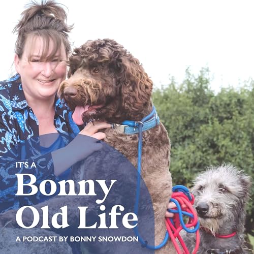It's A Bonny Old Life cover art