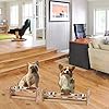 X-ZONE-PET-Raised-Pet-Bowls-for-Cats-and-Dogs-Adjustable-Bamboo-Elevated-Dog-Cat-Food-and-Water-Bowls-Stand-Feeder-with-2-Stainless-Steel-Bowls-and-Anti-Slip-Feet-Height-79-to-114-to-15 Adjustable Dog Food and Water Bowls