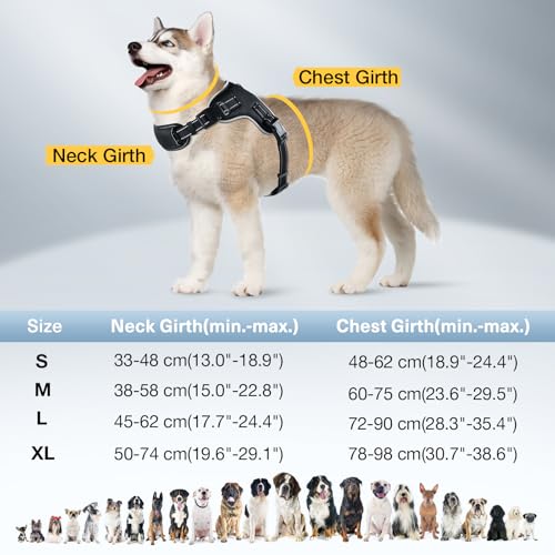 RUXAN Leuchtend Hundegeschirr, LED Hundeweste Geschirr wiederaufladbar, 7 Farben Hundelicht Geschirr für Nachtspaziergang Weiches Verstellbares Hundegeschirr für Kleine, Mittlere Große Hunde