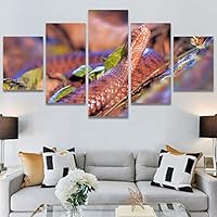 SIGNWIN 5 Panel Canvas Wall Art Modern Art Chic Expressive Frog Multicolor Photography Reptiles Snakes for Home Decorations Ready to Hang - 60