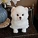 YUDIZWS Peluche Pomerania Cane Realistico, Simulazione Adorabile Cucciolo Peluche,Animali da Compagnia Morbidi per Anziani E Bambini,Pomeranian