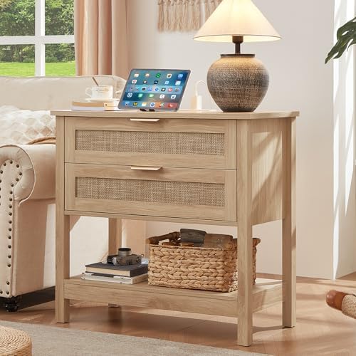Lerliuo 26.8" Wide Rattan Nightstand with Charging Station, Overs...