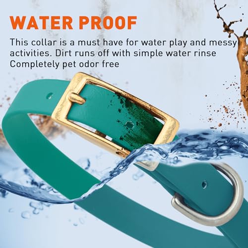 Image of Viper Biothane Heavy Duty Waterproof Dog Collar Strong Coated Nylon Webbing w /Solid Brass Hardware Odor-Proof Easy to Clean High Performance Fits Small Medium or Large Dogs, Blue Aqua