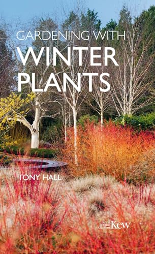 Gardening with Winter Plants