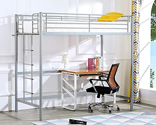 Bonnlo Twin Size Metal Loft Bed for Kids, Gray
