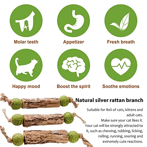 IJPDDRXYN Katzenminze Sticks, 3 Stück Matatabi Katzenspielzeug mit Ball Natürliches Zahnpflege-Set gegen Zahnstein Für Kauen, Beißen & interaktiven Spielspaß